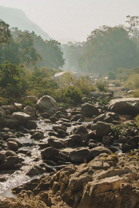 Climate Change, Biodiversity & Indigenous Environmental Justice